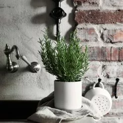 Ernst Geschirrhandtuch Leinen 47x70 Cm, Dunkelgrau 8 Ernst Geschirrhandtuch Leinen 47x70 Cm, Dunkelgrau -Kindertextilien Verkäufe ernst geschirrhandtuch leinen 47x70 cm 3